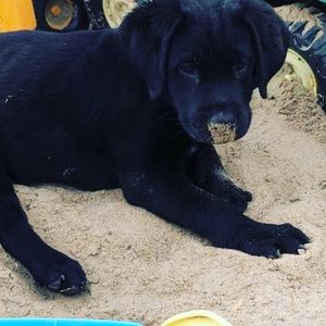 Meet your Posher, Katrina